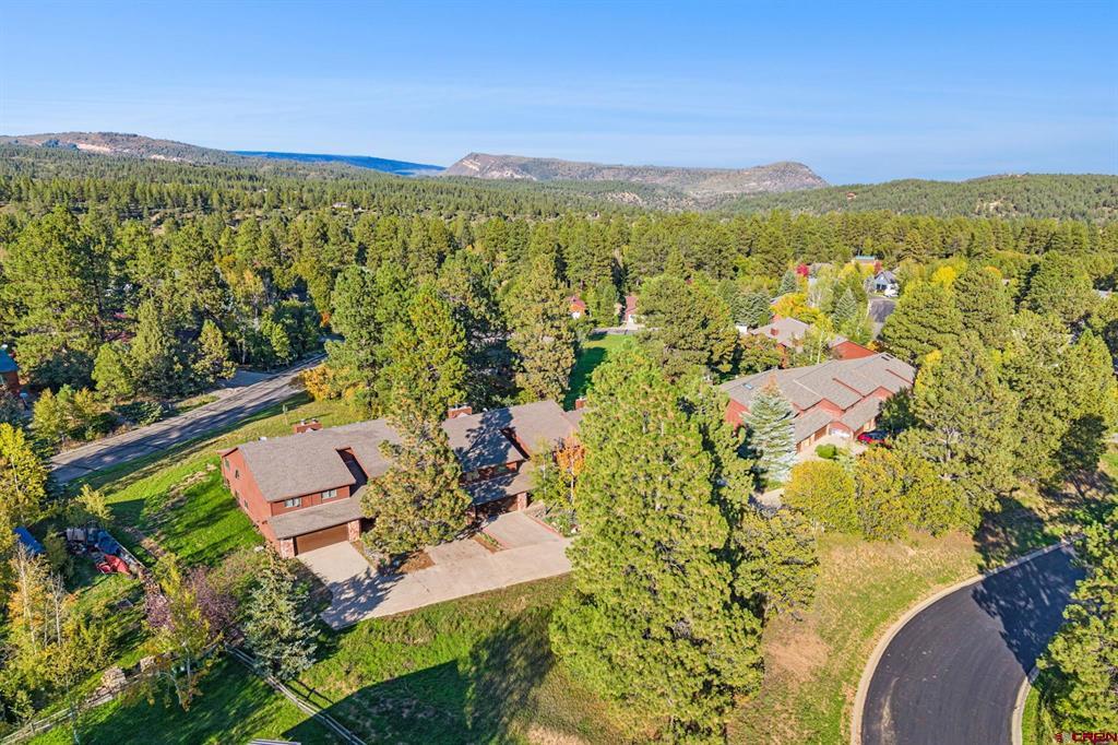 243 Pine Ridge Loop Property Photo 29