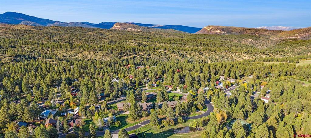 243 Pine Ridge Loop Property Photo 32