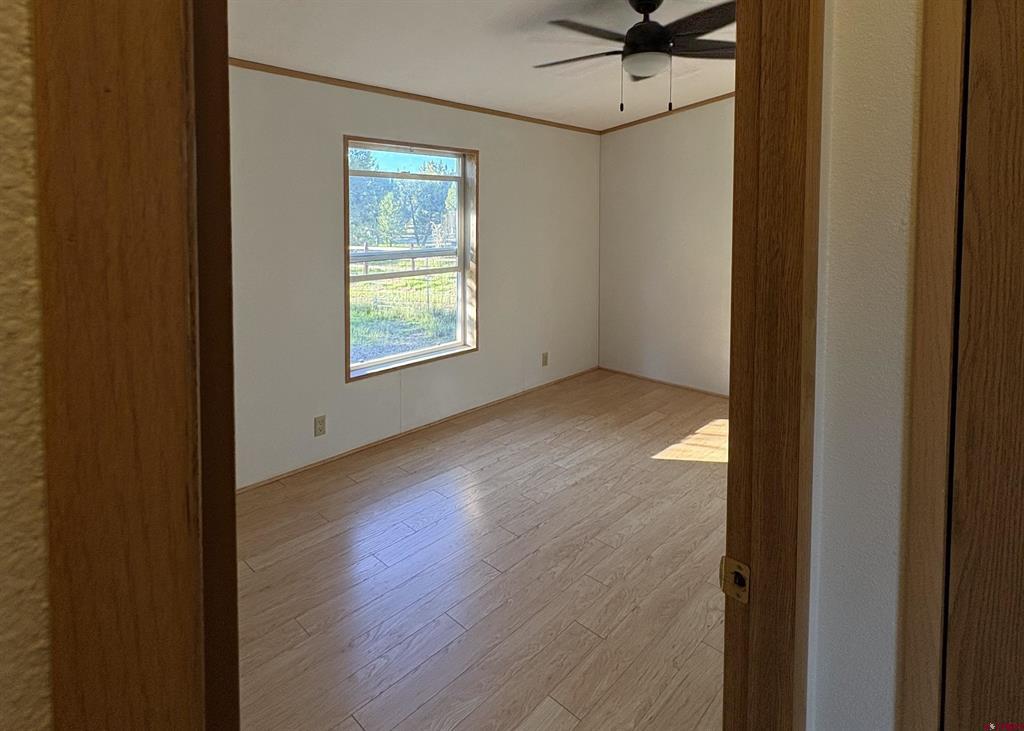 32 Easy Drive Property Photo 24