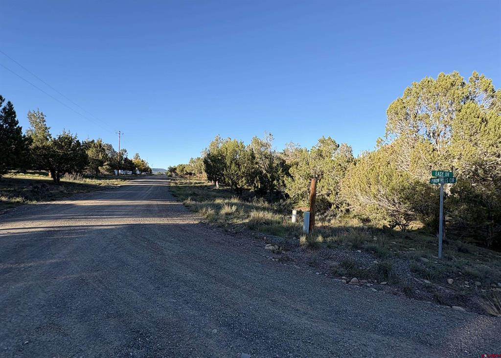 32 Easy Drive Property Photo 35