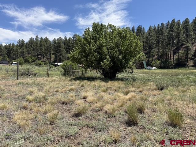 10700 W Highway 160 Property Photo 2