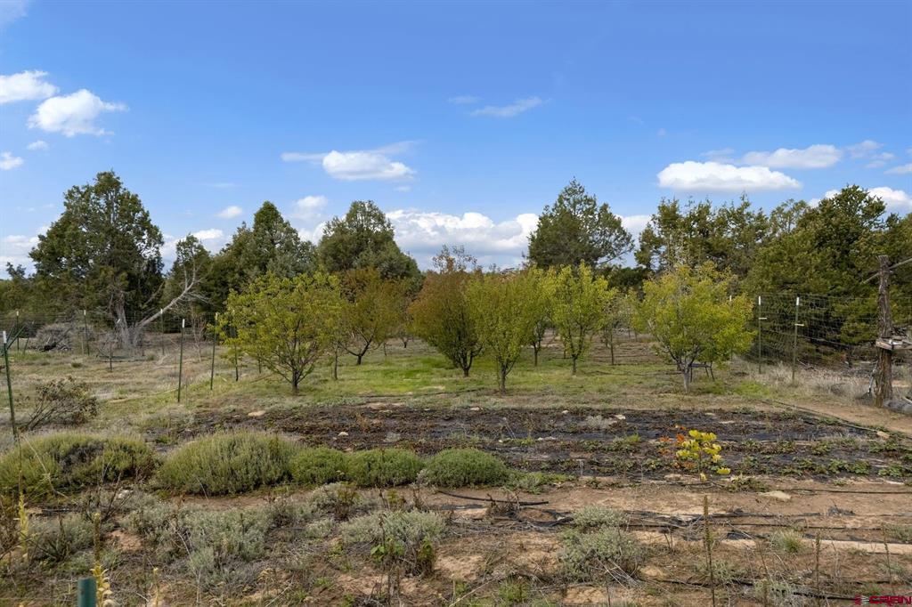 14466 Road 32.1 Property Photo 36