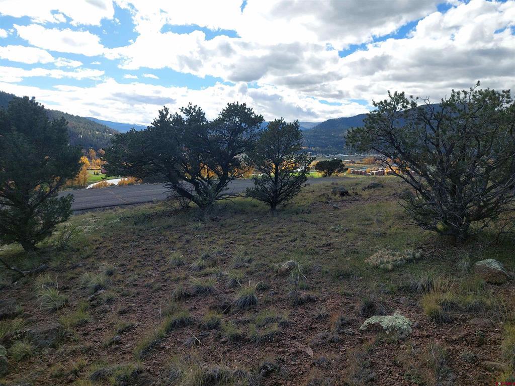 235 Vista De Verde Property Photo 10