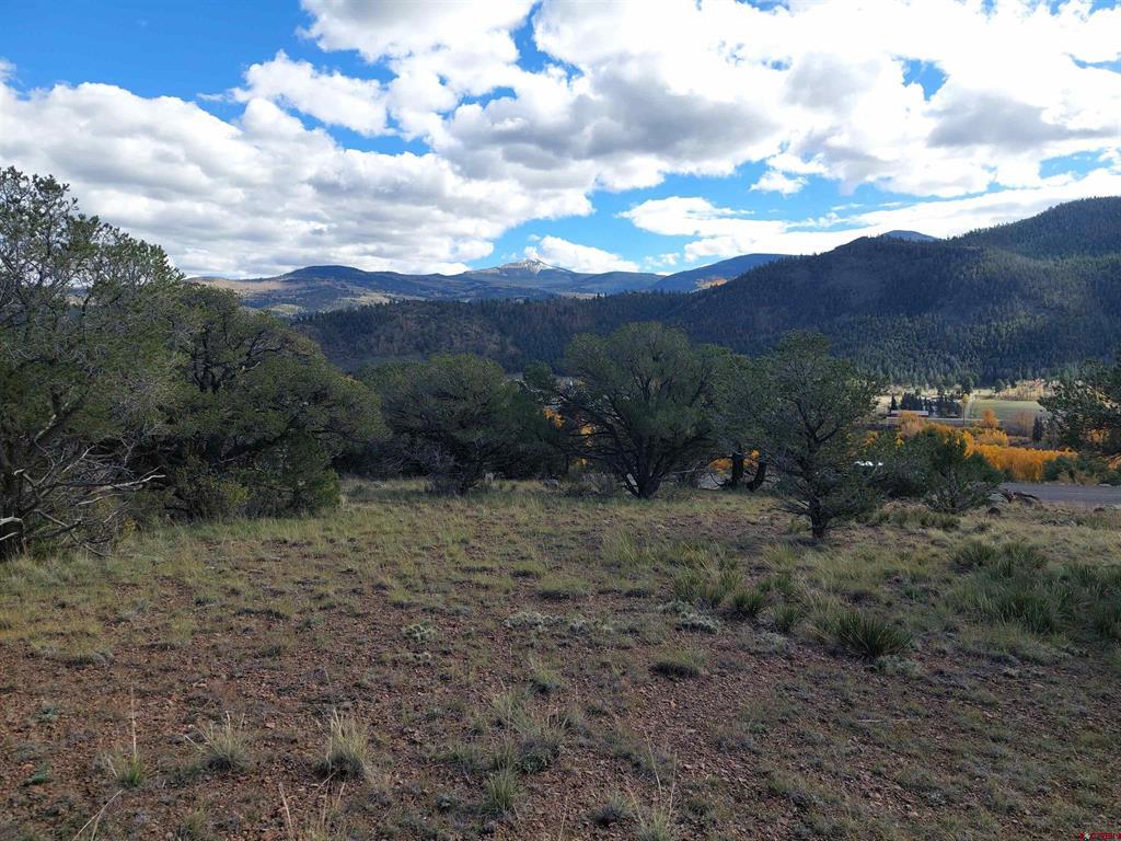 235 Vista De Verde Property Photo 14