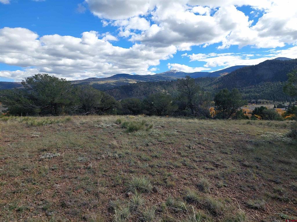 235 Vista De Verde Property Photo 23