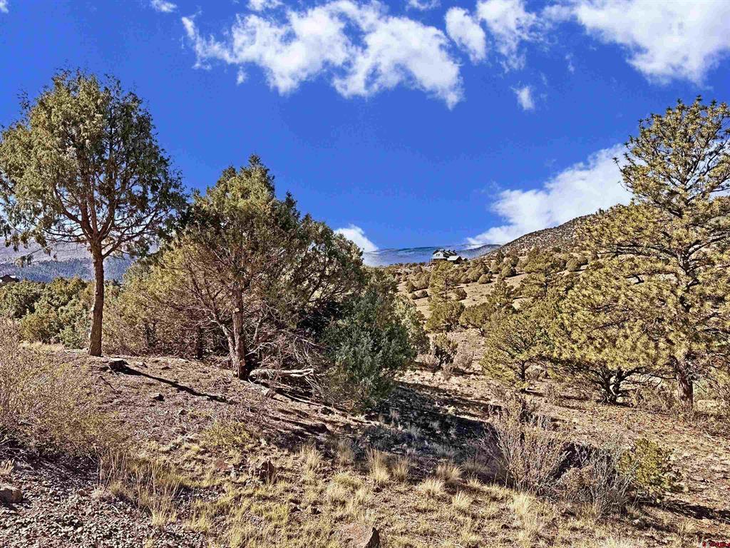 3869 Bear Creek Circle Property Photo 4