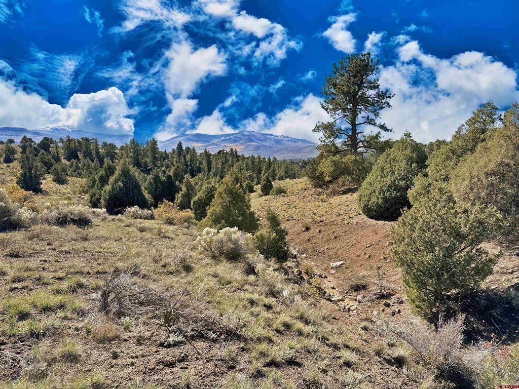 3869 Bear Creek Circle Property Photo 15