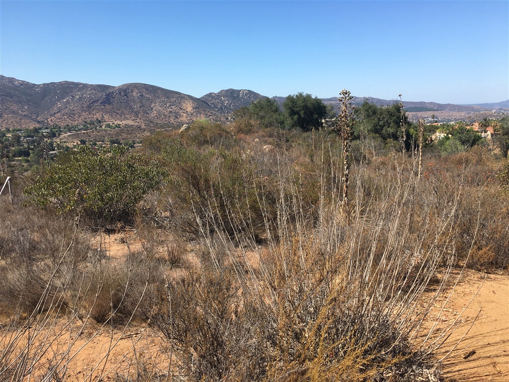 0 Quail Canyon Rd. Property Photo