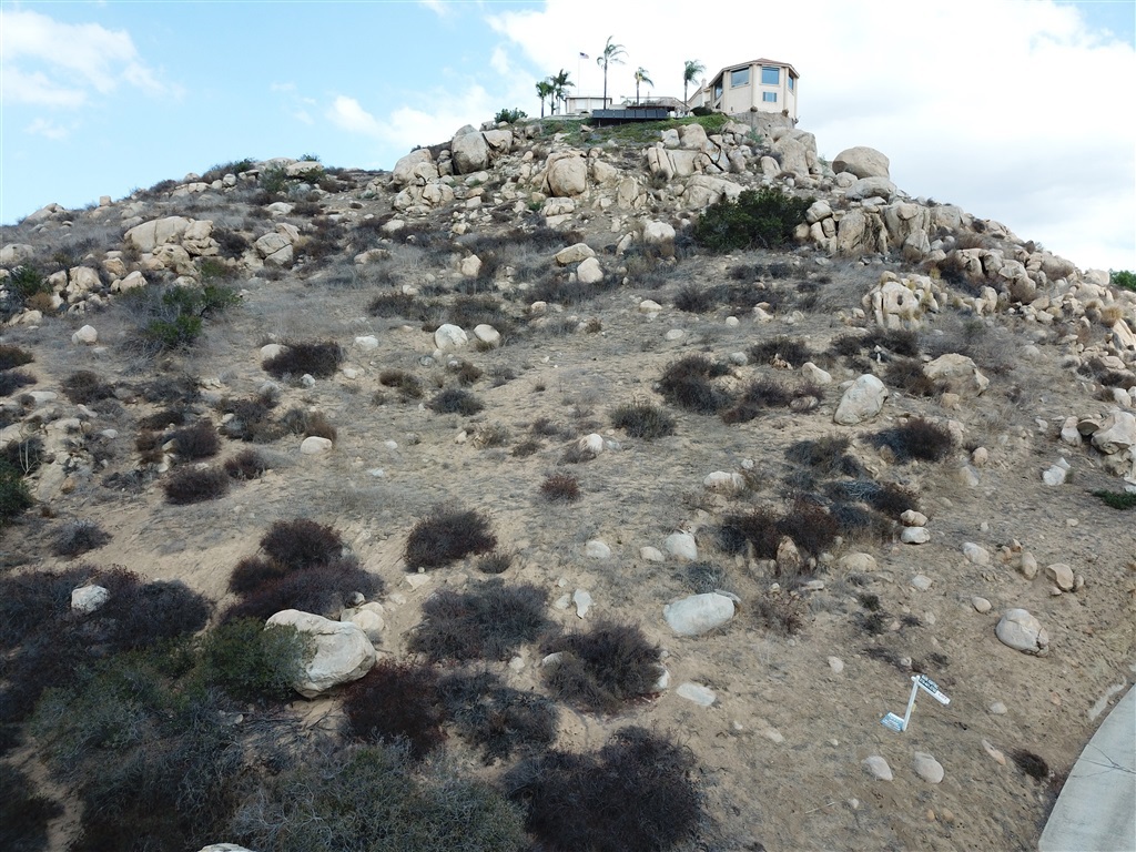 0 Vista Valley Rim Pl Property Photo 16