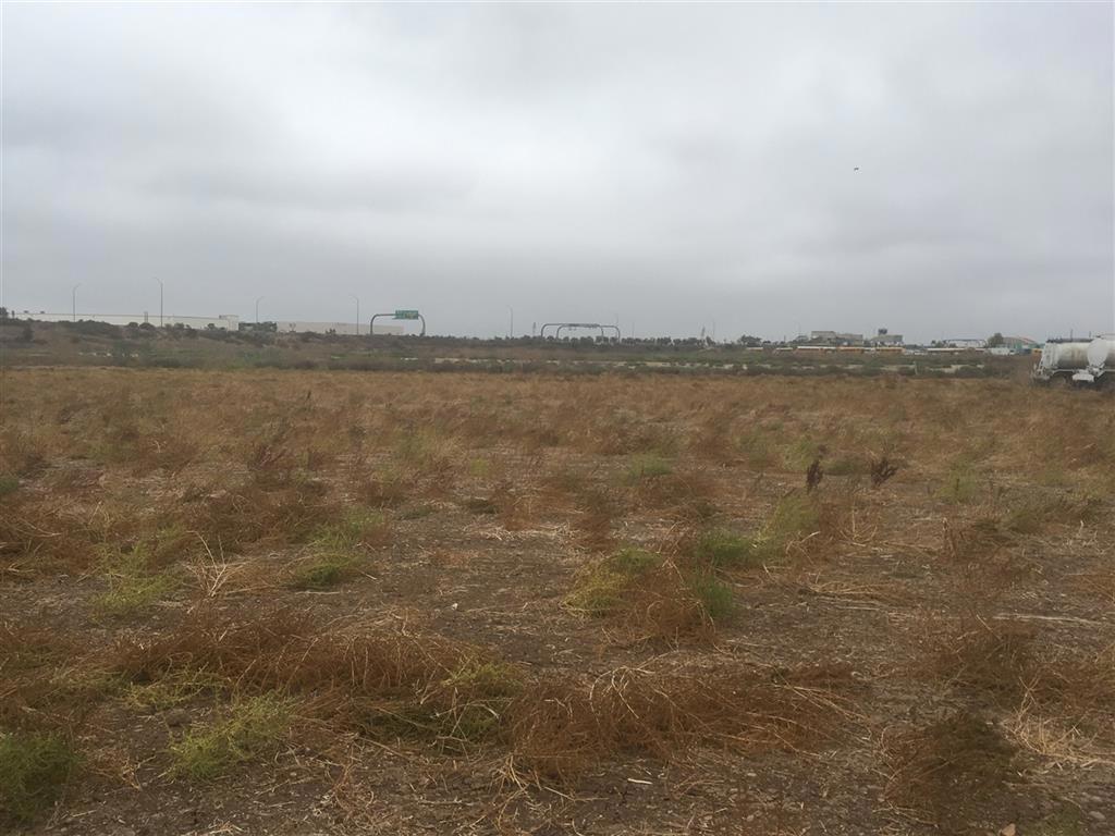 8691 Lone Star Rd. Property Photo 1