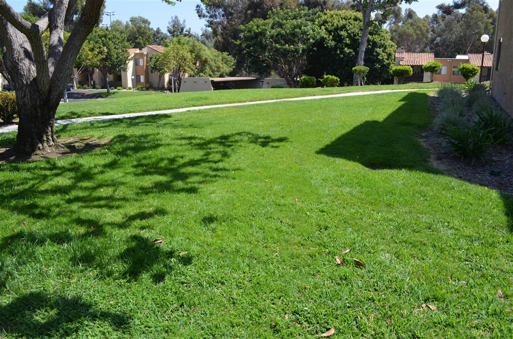 190017484 Property Photo 3