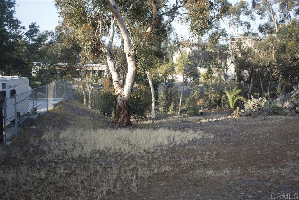 Lot 48 Guava Property Photo 3