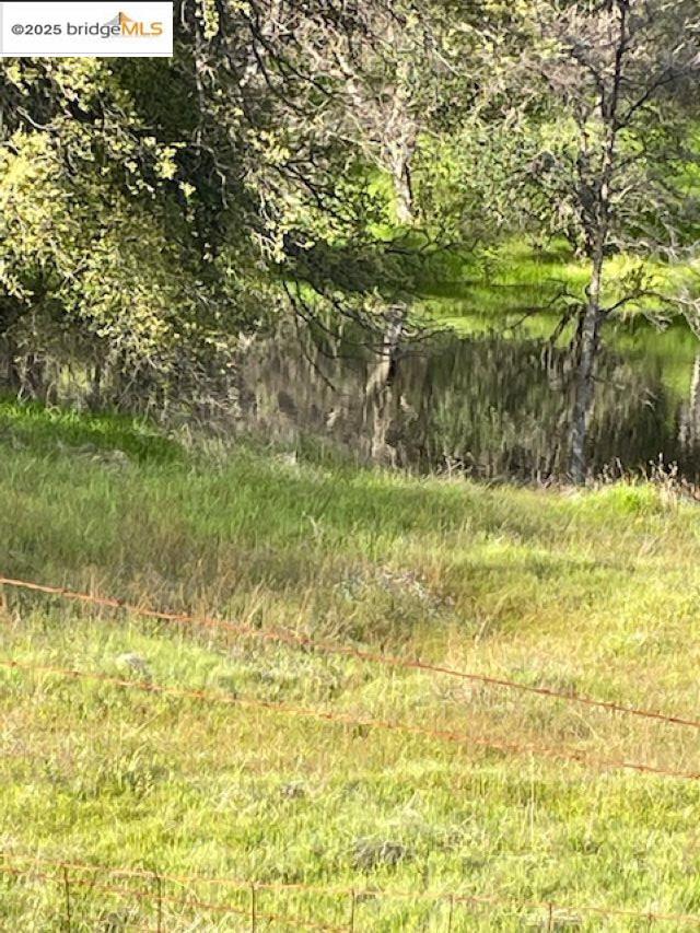 10404 State Highway 49 Property Photo 2