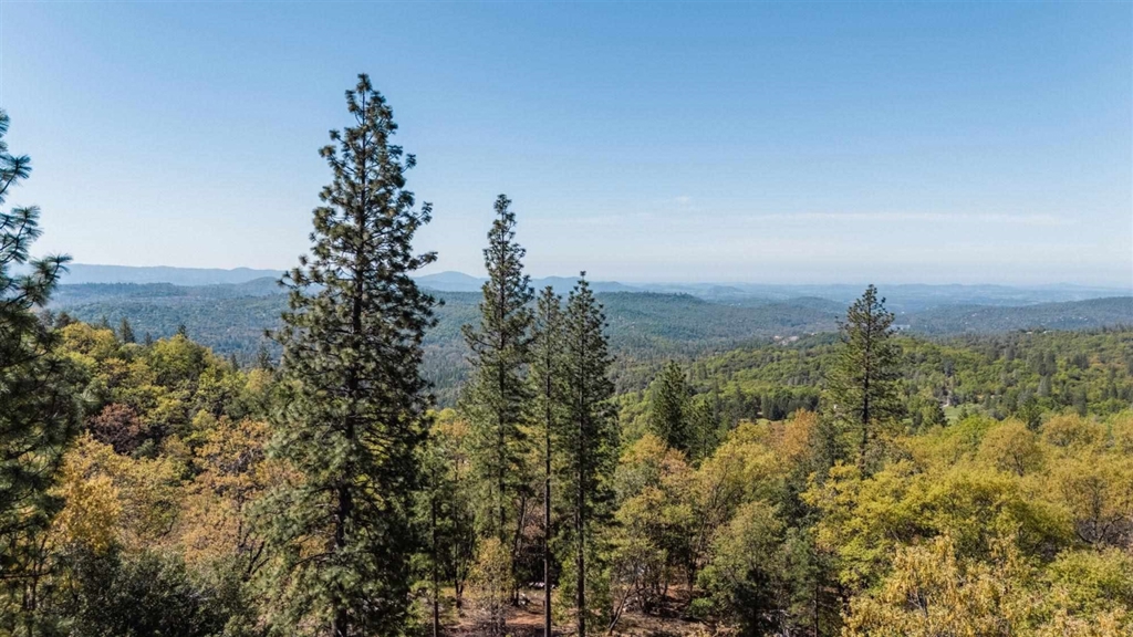 23385 Pack Trail Property Photo 1