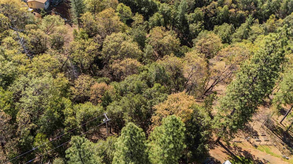 23385 Pack Trail Property Photo 2
