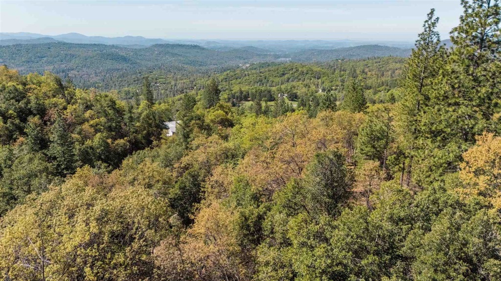 23385 Pack Trail Property Photo 3