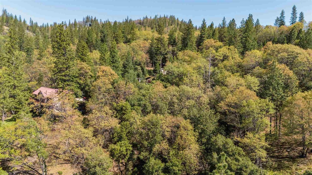 23385 Pack Trail Property Photo 4