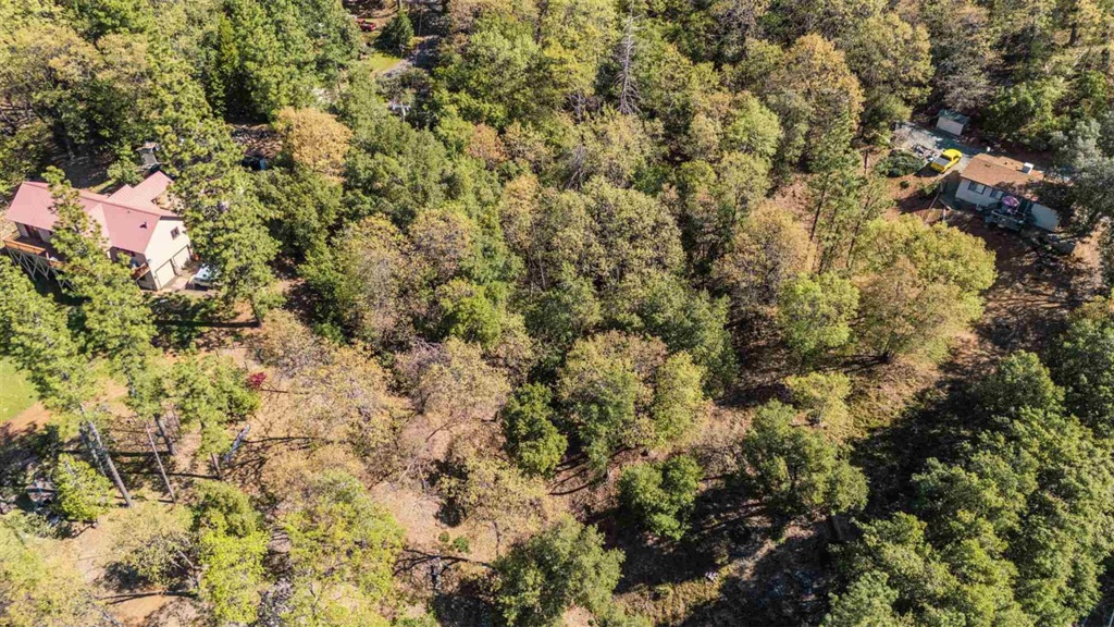 23385 Pack Trail Property Photo 5