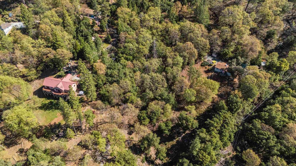 23385 Pack Trail Property Photo 6