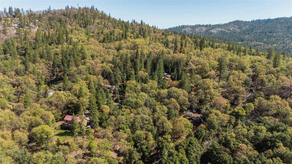 23385 Pack Trail Property Photo 7