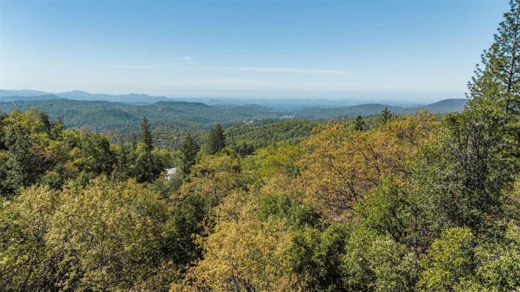 23385 Pack Trail Property Photo 8