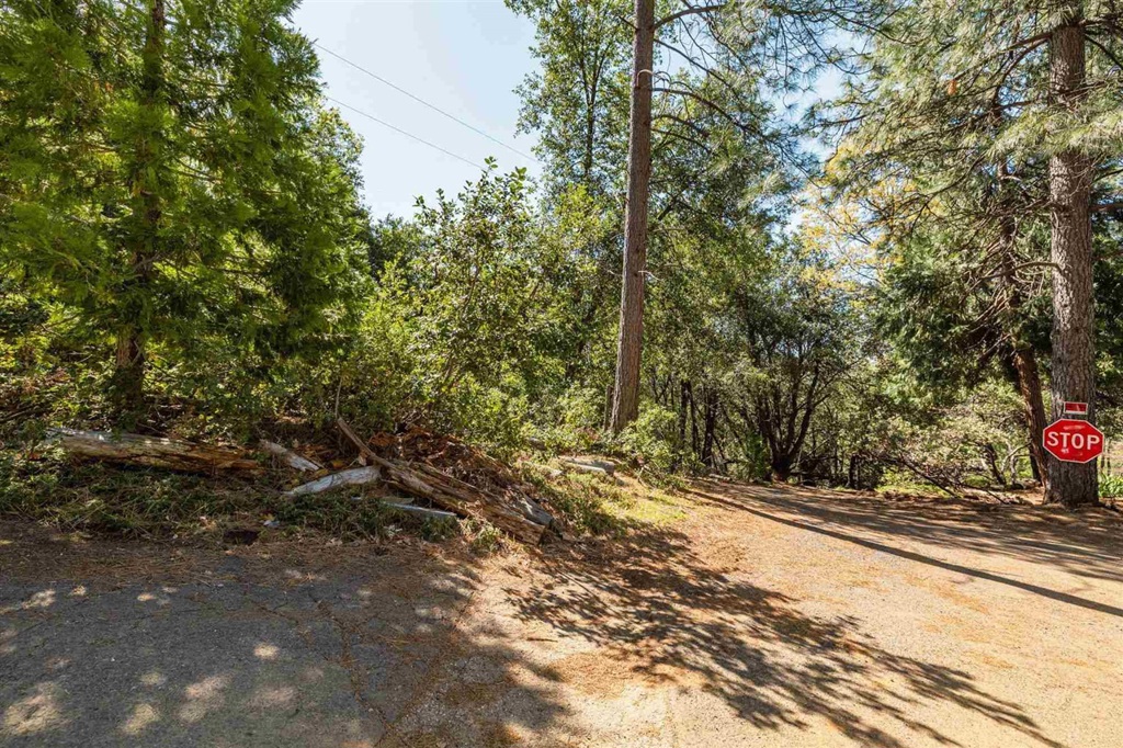 23385 Pack Trail Property Photo 9