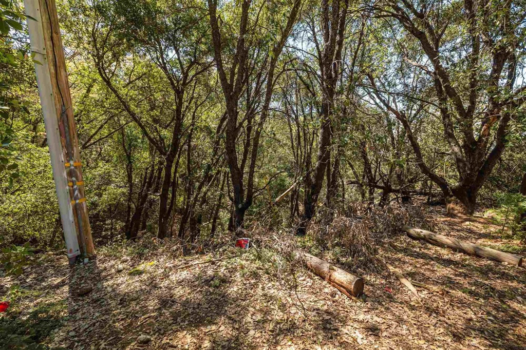 23385 Pack Trail Property Photo 10