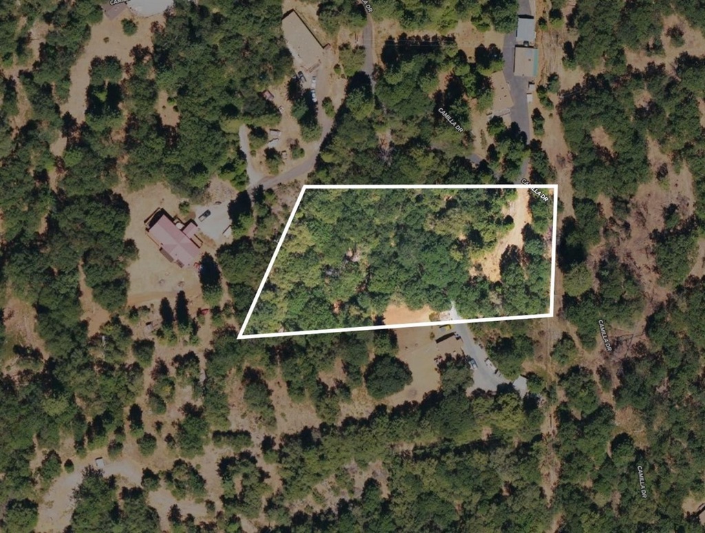 23385 Pack Trail Property Photo 11