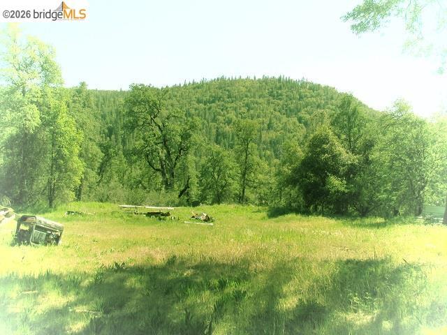 17242 Philadelphia Rd. Property Photo 14