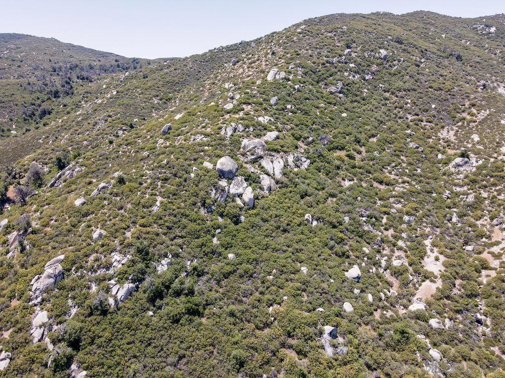 Highway 79 Property Photo 1
