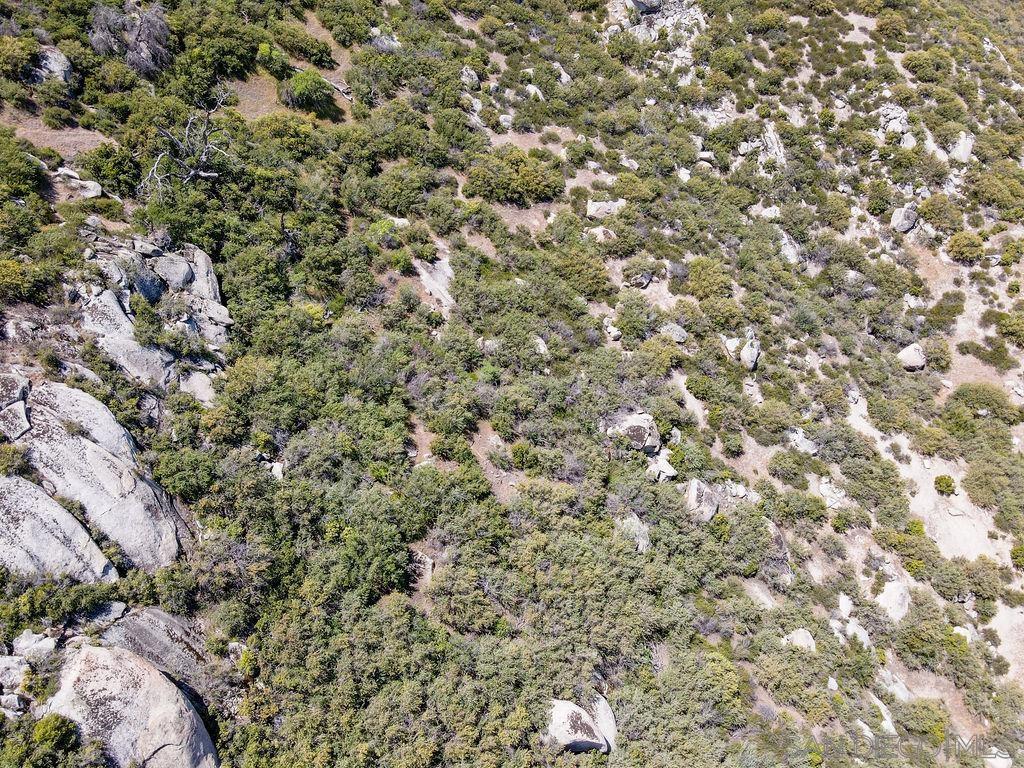 0 Highway 79 Property Photo 5