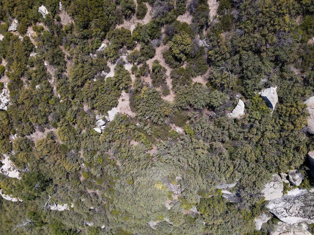 0 Highway 79 Property Photo 8