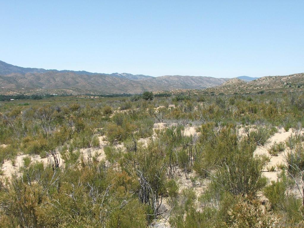 0 Montezuma Valley Road Property Photo 4