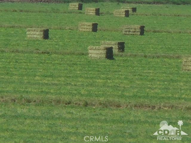 1434 Acres Property Photo 6