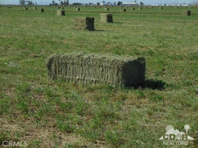 1434 Acres Property Photo 9