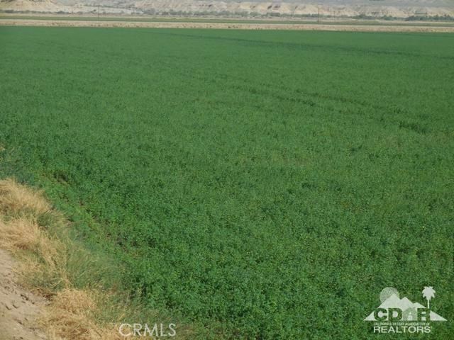 1434 Acres Property Photo 11