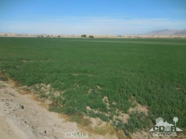 1434 Acres Property Photo 17