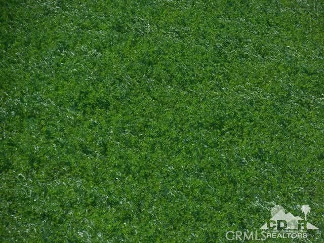 1434 Acres Property Photo 22