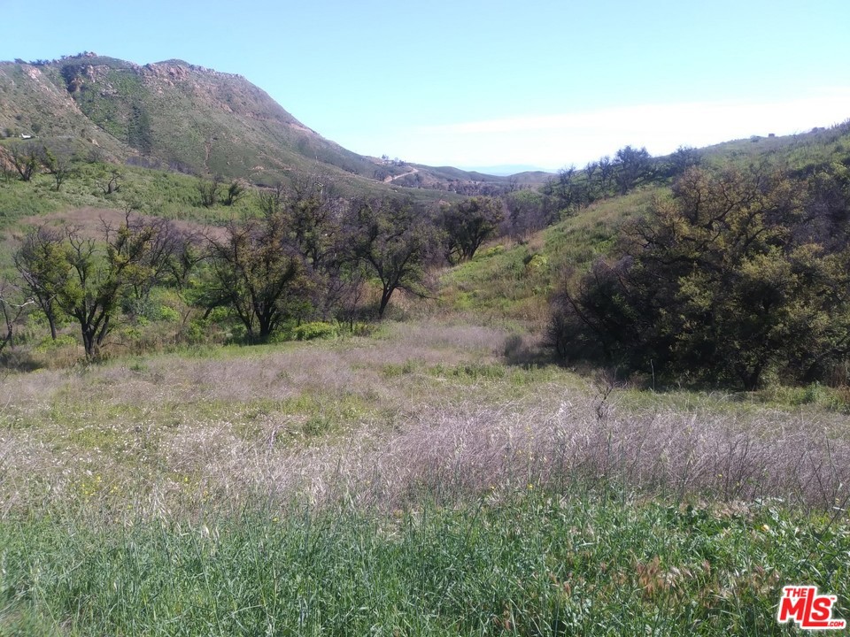 2517 Encinal Canyon Road Property Photo
