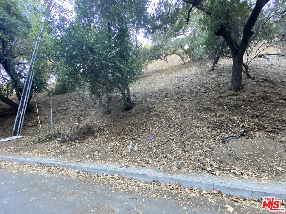 7506 Willow Glen Road Property Photo 7