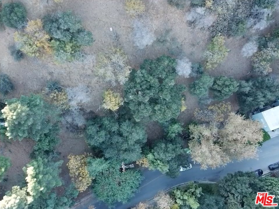 7506 Willow Glen Road Property Photo 8