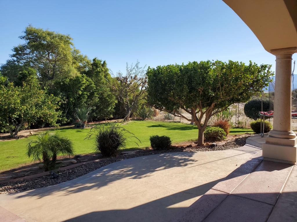 219035399PS Property Photo 18