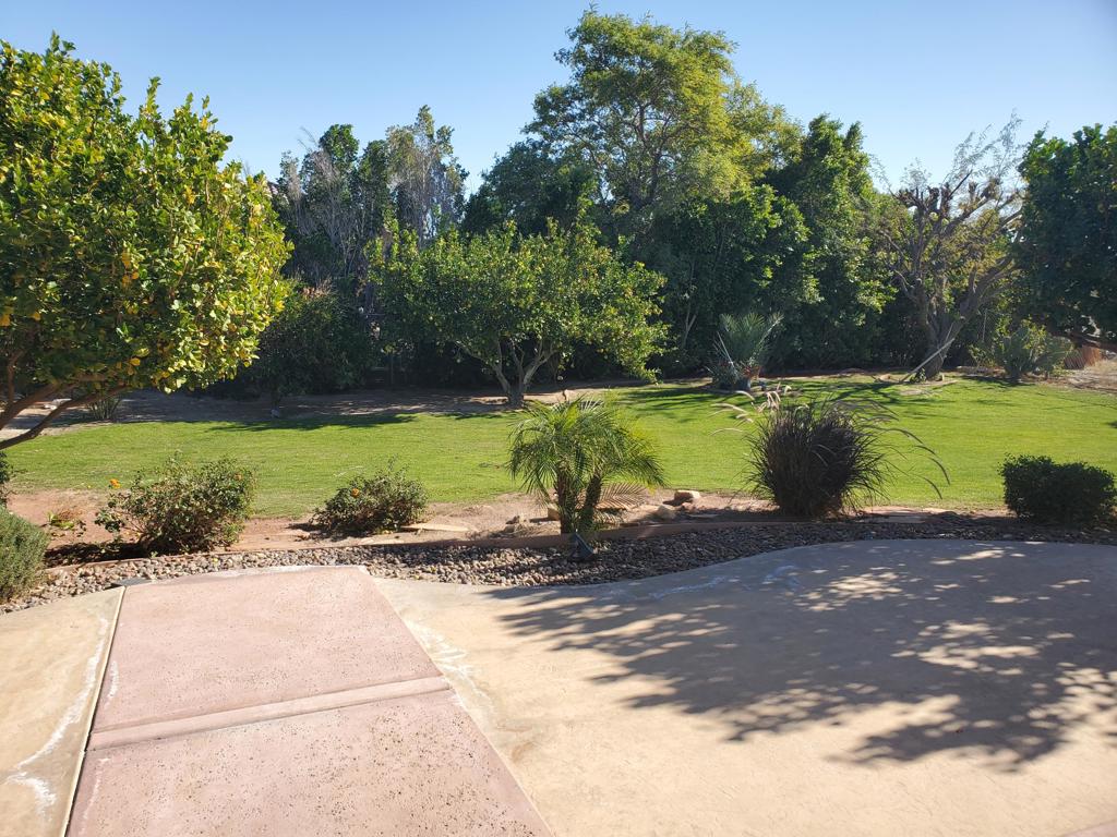 219035399PS Property Photo 19