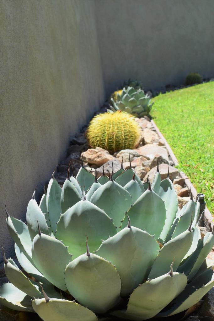 51225 Avenida Ramirez Property Photo 30