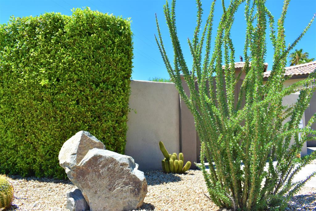 51225 Avenida Ramirez Property Photo 31