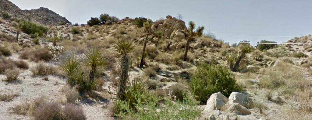 57302 Bandera Road Property Photo 9