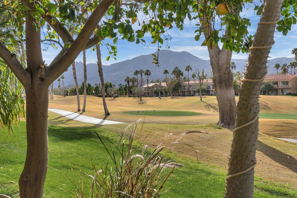 55387 Winged Foot Property Photo 21