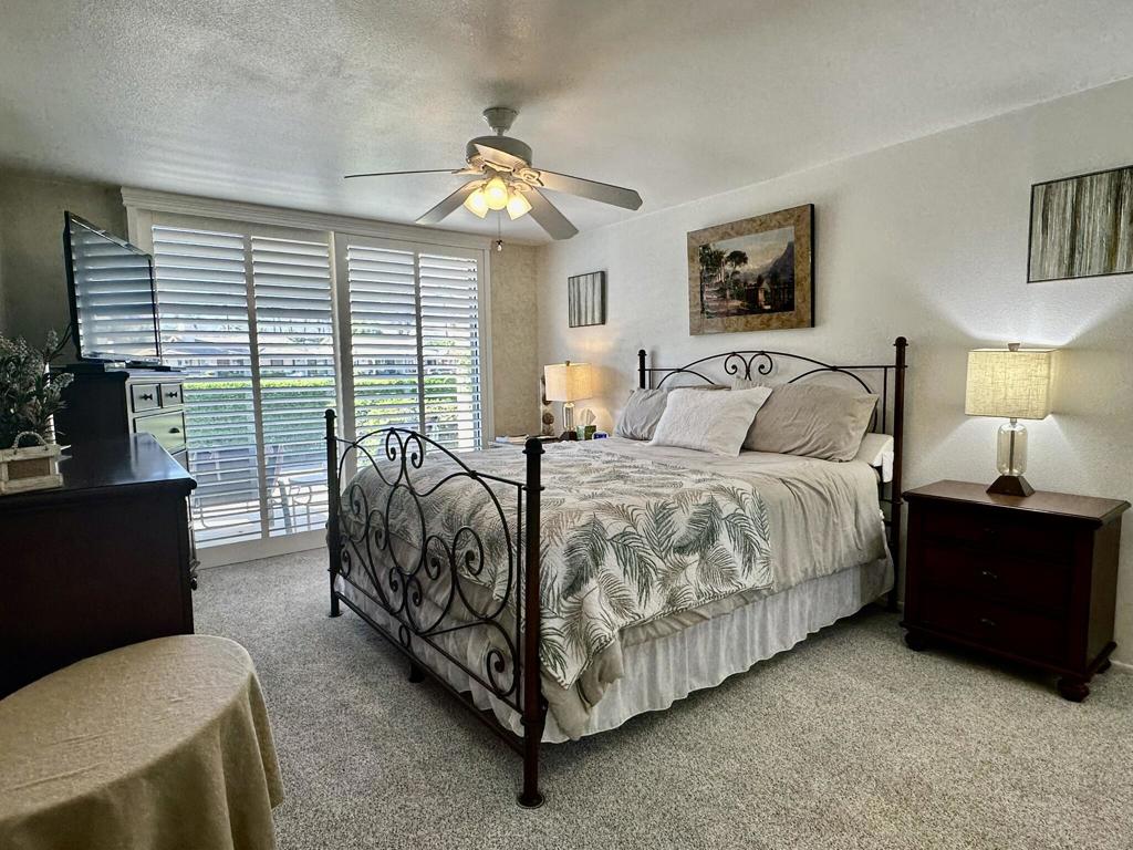 259 Calle Del Verano Property Photo 8