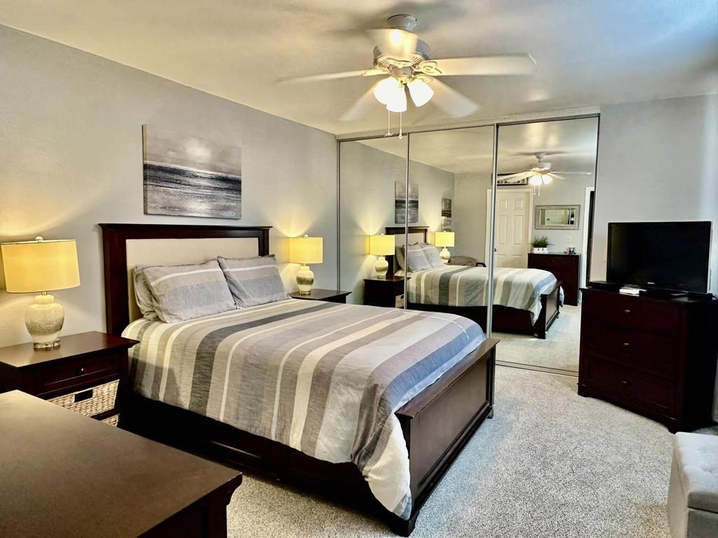 259 Calle Del Verano Property Photo 11
