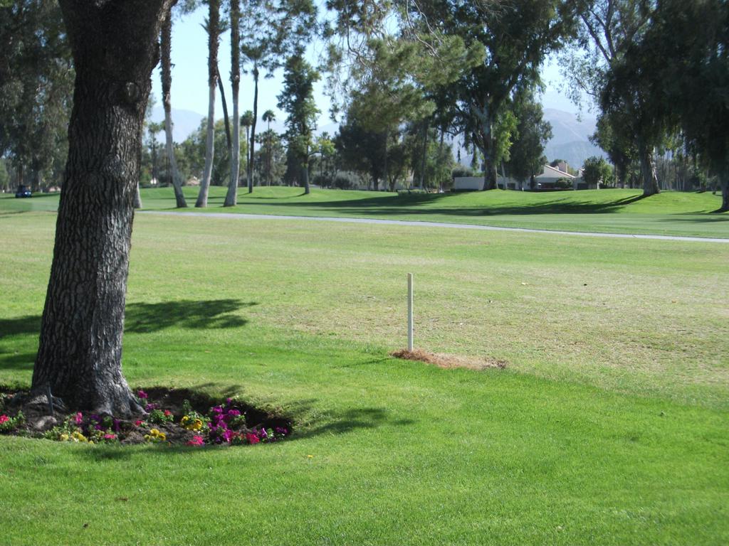 107 Racquet Club Drive Property Photo 39